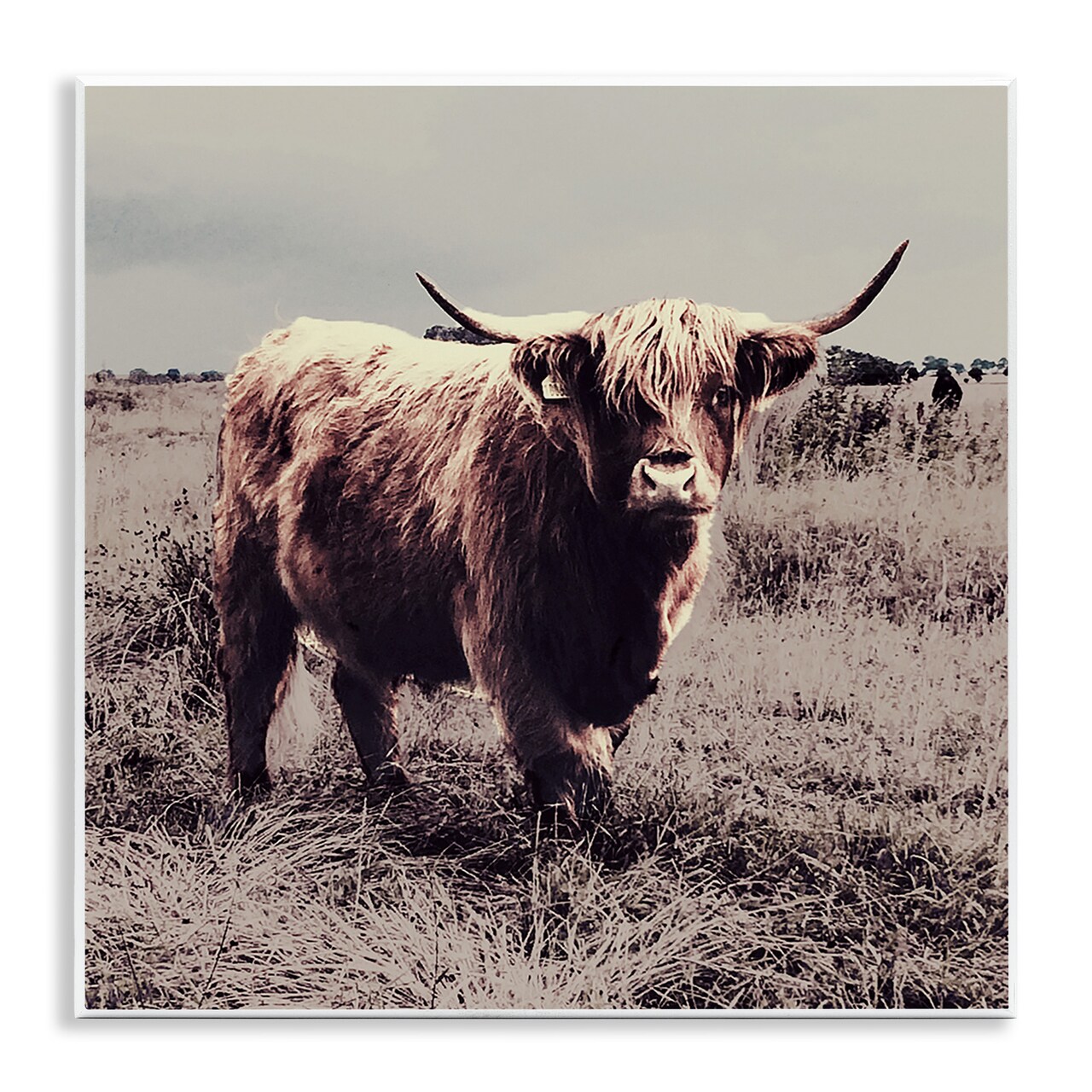 Stupell Industries Farm Cattle Rustic Vintage Styling Wall Plaque Art